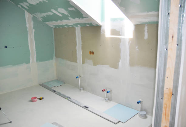 Forensic Mold Investigation