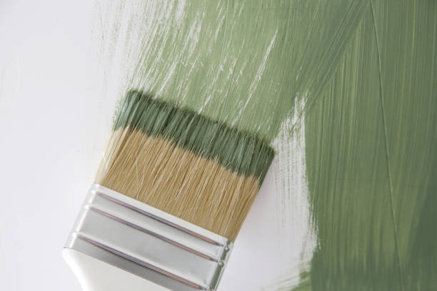 Best Mold Documentation for Insurance Claims  in Parker, CO