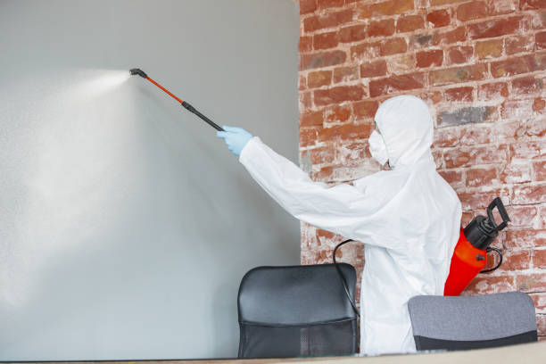 Best Mold Remediation for Healthcare Facilities  in Parker, CO