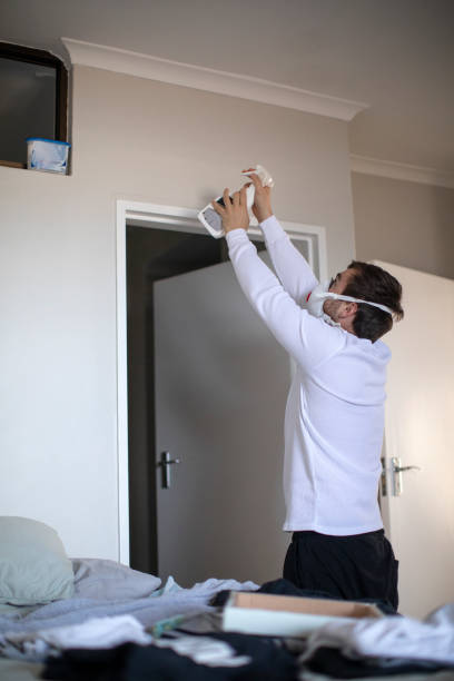 Reliable Parker, CO Mold Removal Solutions