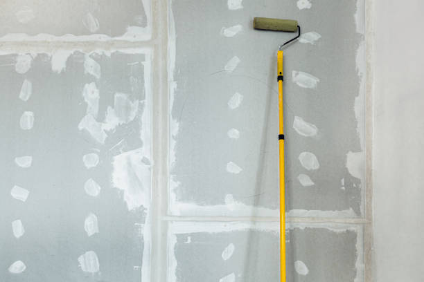 Best Basement Mold Removal  in Parker, CO