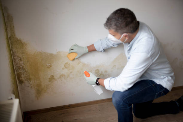 Best Residential Mold Inspection & Testing  in Parker, CO