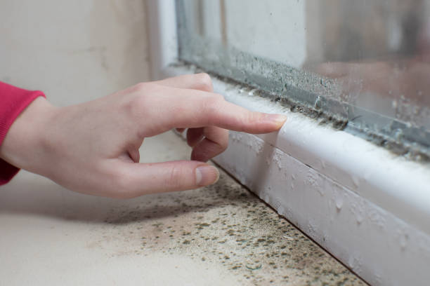 Best Air Quality Testing for Mold Spores  in Parker, CO