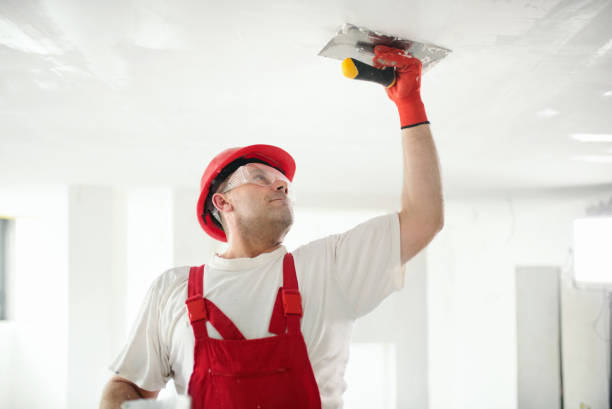 Best HVAC Mold Inspection and Cleaning  in Parker, CO