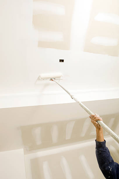 Best Water Damage & Mold Remediation  in Parker, CO