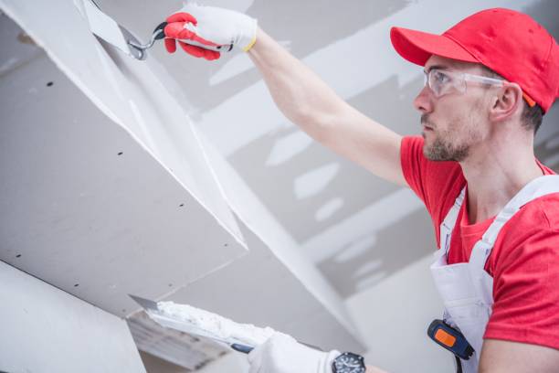 Best Dehumidification Services  in Parker, CO