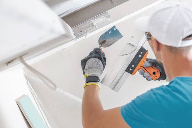 Best Asbestos and Lead Testing During Mold Inspection  in Parker, CO